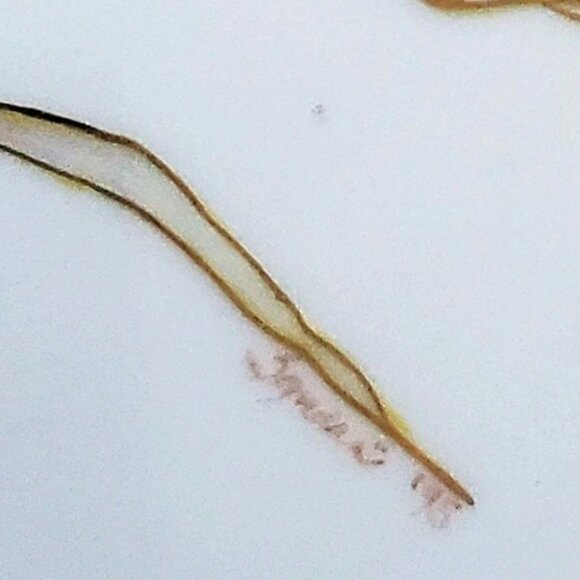 Vintage Hand Painted Porcelain Platter with Flowers and Angels 11.5 Inch Round - Picture 5 of 12